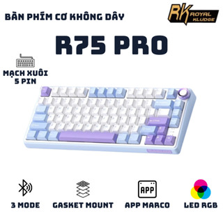 Bàn phím cơ không dây Royal Kludge RK R75 Pro - 3 mode - Mạch xuôi 5 pin - App Marco - LED RGB - Full Foam