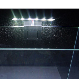 Đèn led kẹp X3 6w cho bể cá cảnh mini