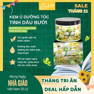 Ủ Dưỡng Tóc Tinh Chất Bưởi COSLIVE 500g