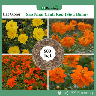 Hạt Giống Hoa Sao Nhái Cánh Kép (Siêu Bông) - Gói 500 Hạt - AZ Farming