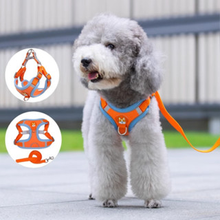 Dây dắt chó mèo kèm đai yếm ngực phản quang hình chú cún cá tính, dây xích và yếm thú cưng TAGOPET