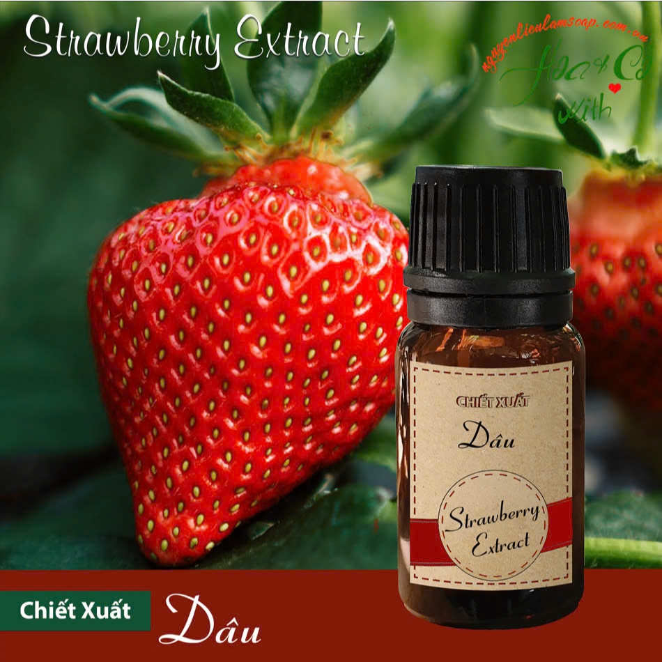 (HCM) CHIẾT XUẤT DÂU TÂY (5ML - 20ML)