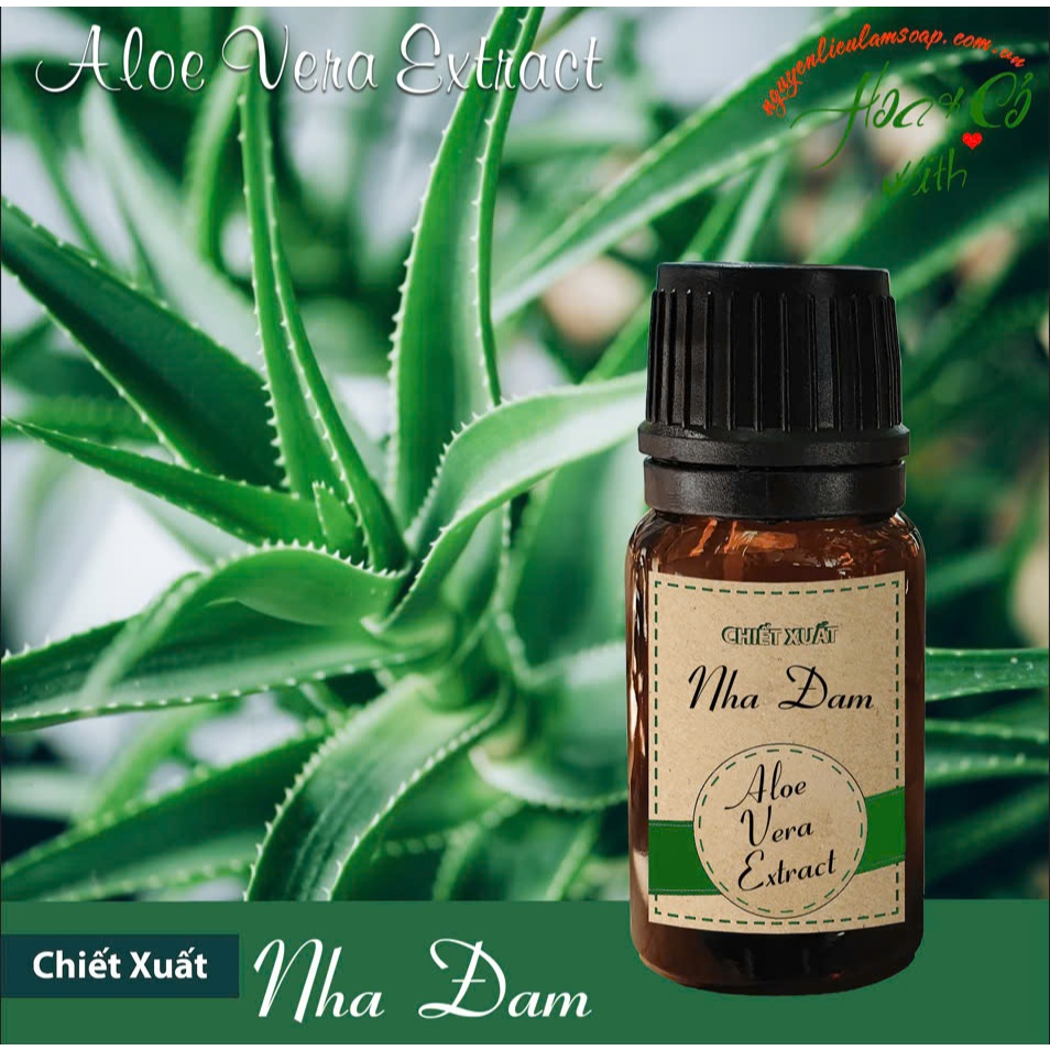 Chiết Xuất Nha Đam ( Aloe Vera Extract )