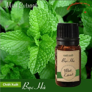 Chiết Xuất Bạc Hà ( Mint Extract )