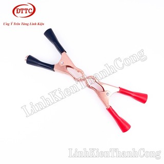 Kẹp Acquy 50A