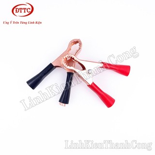 Kẹp Acquy 50A
