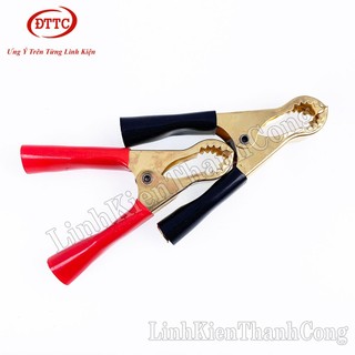 Kẹp Acquy 50A