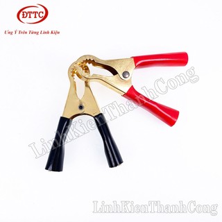 Kẹp Acquy 50A