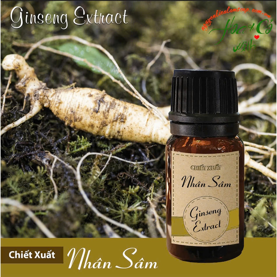 (HCM) CHIẾT XUẤT NHÂN SÂM