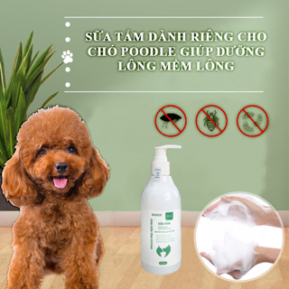 Sữa tắm dành riêng cho chó Poodle giúp dưỡng lông mềm lông