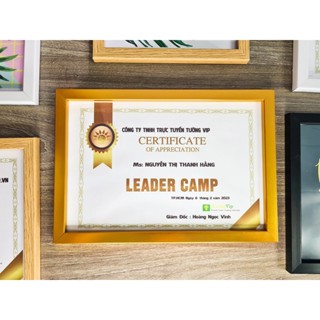 Khung Ảnh - Khung Bằng Khen 21x30cm(A4)/ 25x35cm(B4)/30x42cm(A3) - Khung Vàng, Mặt Mica Treo Tường Để Bàn TƯỜNG VIP