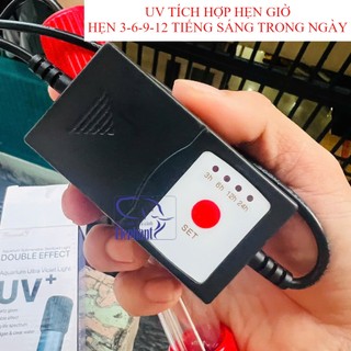 Đèn UV xử lý tảo có và không có hẹn giờ cho hồ cá
