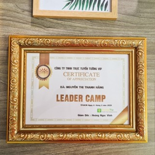 Khung Ảnh - Khung Bằng Khen 21x30cm(A4)/30x42cm(A3) - Khung Vàng Cổ Điển Bảng To, Mặt Mica Treo Tường Để Bàn TƯỜNG VIP