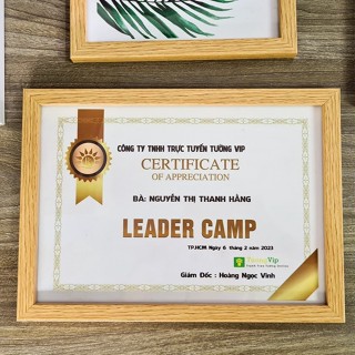 Khung Ảnh - Khung Bằng Khen 21x30cm(A4)/ 25x35cm(B4)/30x42cm(A3) - Khung Giả Gỗ, Mặt Mica Treo Tường Để Bàn TƯỜNG VIP