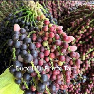 Trái Đũng Đỉnh tươi/ sấy Khô, ngâm rượu ,hàng hút chân không sạch