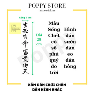  Hình xăm dán chữ trung   Sống Chết Có Số Phú Quý Do Trời     Kích Thước 5cm x 27cm   hình xăm dán 15 ngày 