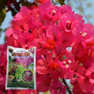Phân Bón Hữu Cơ Siêu Hoa Giấy VUONBABYLON, Giúp Cứng Cây, Ra Nhiều Hoa, Lâu Tàn, Màu Rực Rỡ - Gói 700G