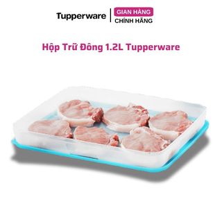 Hộp Trữ Đông 1.2LTupperware