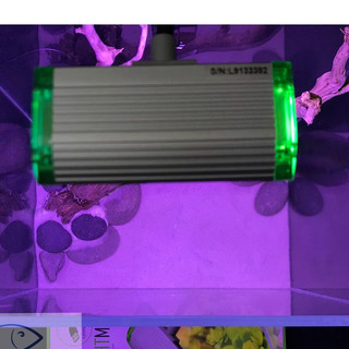 Đèn led kẹp Up Aqua Clip Light Mini