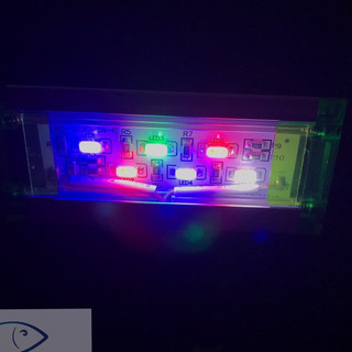 Đèn led kẹp Up Aqua Clip Light Mini