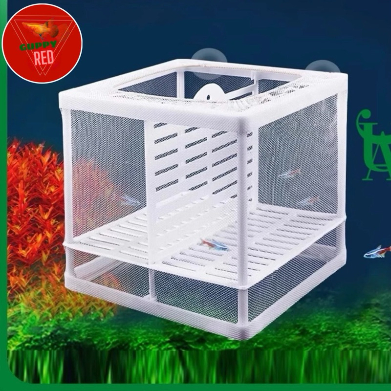 Lồng đẻ vải-Lồng tách đẻ cho cá-Lồng dưỡng cá