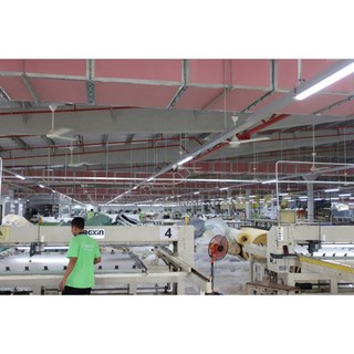 Nệm Bông Ép Cao Cấp Everon Ceramic, Áo Cotton Chần Bông, Bảo Hành 5 Năm - Màu Ngẫu Nhiên