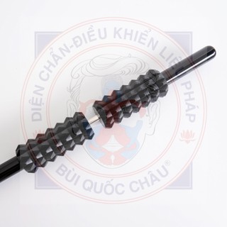 Trục đôi thần kỳ