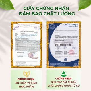 TRÀ BÚP ỔI GIẢM CÂN an toàn, ổn định đường huyết tim mạch ( 60 gói)