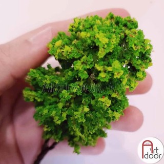 [ARTDOOR] Cây Xanh làm mô hình, thủ công - Cây Thân sắt (14cm) - [xả kho]