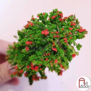 [ARTDOOR] Cây Xanh làm mô hình, thủ công - Cây Thân sắt (14cm) - [xả kho]