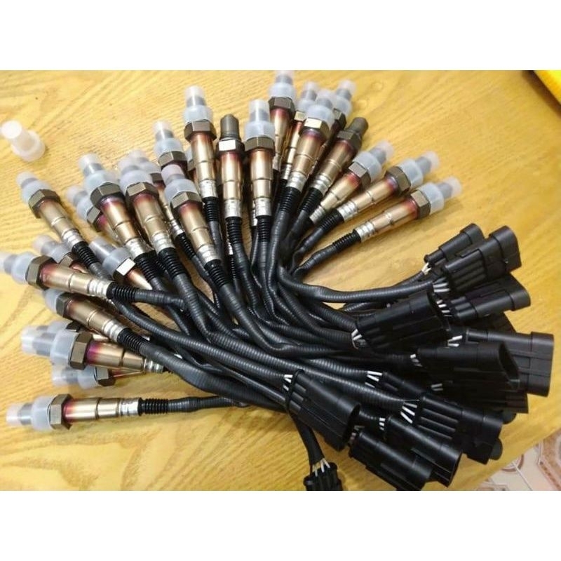 cảm biến bô 2v