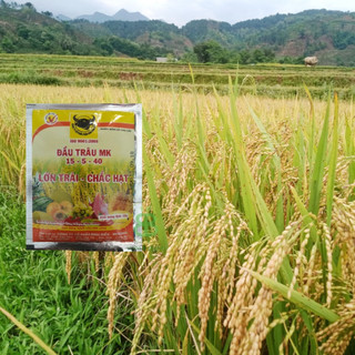 Phân Bón Đầu Trâu MK NPK 15-5-40 VUONBABYLON, Trái Lớn, Chắc Hạt, Cây Khỏe - Gói 10G