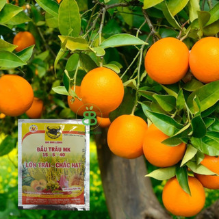 Phân Bón Đầu Trâu MK NPK 15-5-40 VUONBABYLON, Trái Lớn, Chắc Hạt, Cây Khỏe - Gói 10G