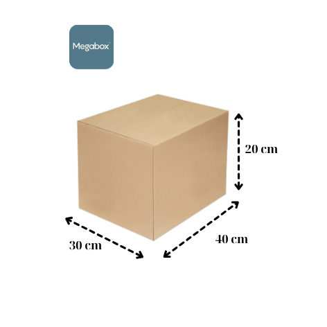 MG1 - 1 Thùng Carton 40x30x20 CM
