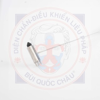 Búa nhỏ Diện Chẩn