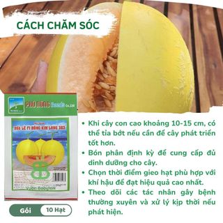 Hạt Giống Dưa lê F1 VUONBABYLON, Dễ Nảy Mầm Hồng Kim Long 383 Phú Nông - Gói 10 Hạt