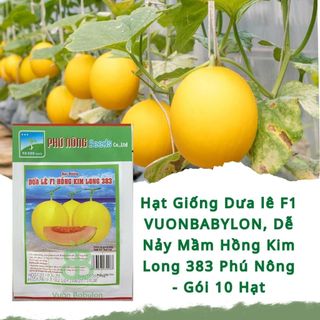 Hạt Giống Dưa lê F1 VUONBABYLON, Dễ Nảy Mầm Hồng Kim Long 383 Phú Nông - Gói 10 Hạt
