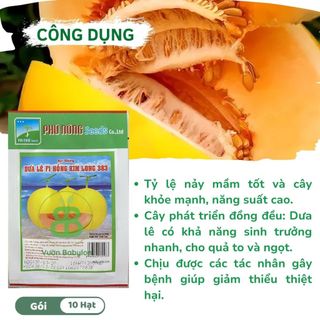 Hạt Giống Dưa lê F1 VUONBABYLON, Dễ Nảy Mầm Hồng Kim Long 383 Phú Nông - Gói 10 Hạt