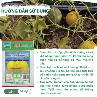 Hạt Giống Dưa lê F1 VUONBABYLON, Dễ Nảy Mầm Hồng Kim Long 383 Phú Nông - Gói 10 Hạt