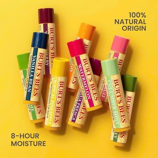 Son dưỡng không màu burt's bees moisturizing lip balm