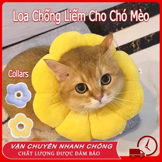 ☀️☀️Collars Vòng cổ chống liếm Loa Chống Liếm Cho Chó Mèo - Gối Chống Liếm Hướng Dương loa chống liếm siêu nhẹ cho mèo