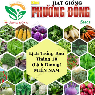 Hạt giống Rau Củ Quả trồng theo mùa ở miền NAM, tháng 10 này trồng rau gì? - Hạt giống King Phương Đông