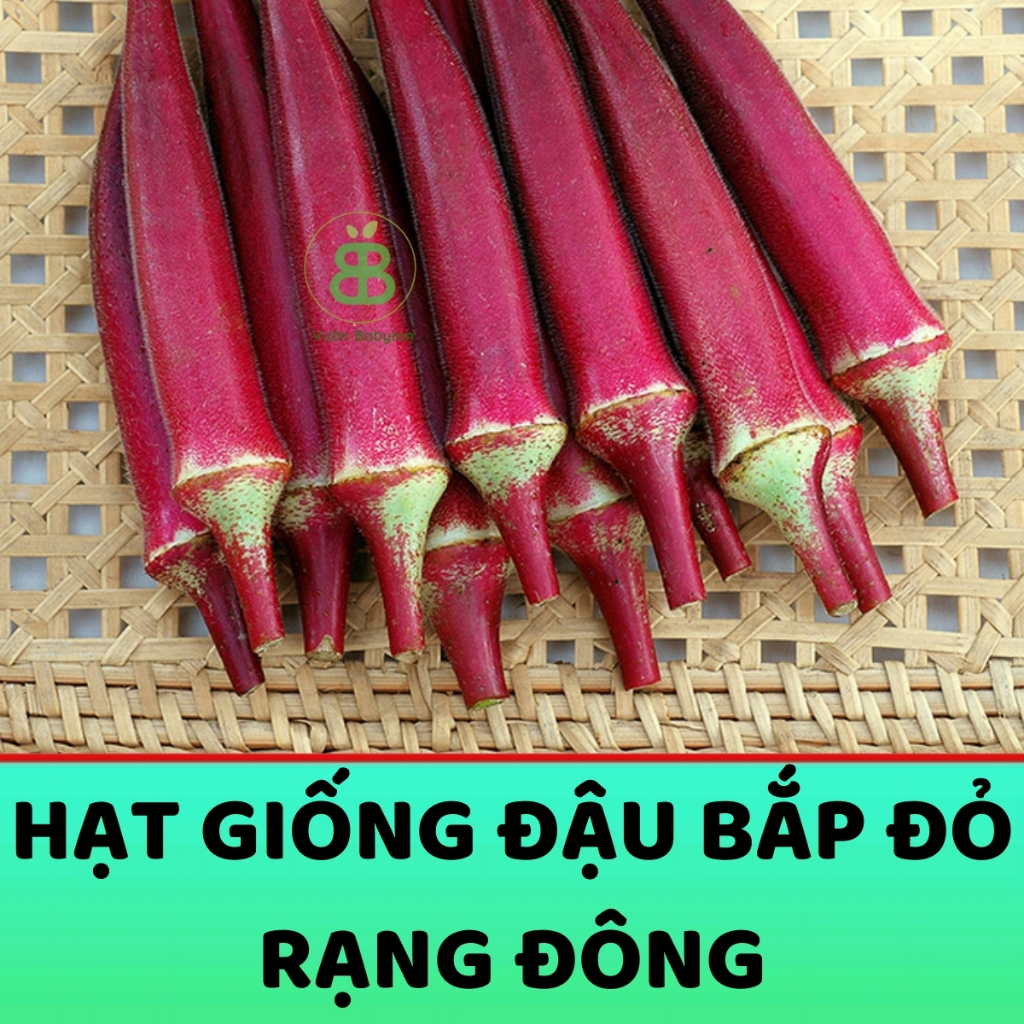 Hạt Giống Đậu Bắp Đỏ VUONBABYLON, Giàu Dinh Dưỡng, Trái Đậu Nhiều, Trồng Quanh Năm, Dễ Trồng, Rạng Đông - Gói 5G