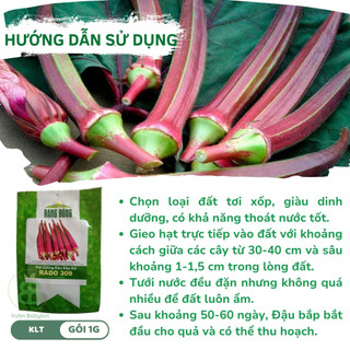 Hạt Giống Đậu Bắp Đỏ VUONBABYLON, Giàu Dinh Dưỡng, Trái Đậu Nhiều, Trồng Quanh Năm, Dễ Trồng, Rạng Đông - Gói 5G