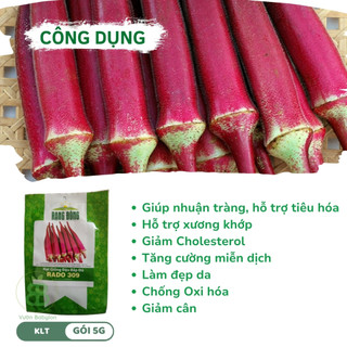 Hạt Giống Đậu Bắp Đỏ VUONBABYLON, Giàu Dinh Dưỡng, Trái Đậu Nhiều, Trồng Quanh Năm, Dễ Trồng, Rạng Đông - Gói 5G