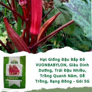 Hạt Giống Đậu Bắp Đỏ VUONBABYLON, Giàu Dinh Dưỡng, Trái Đậu Nhiều, Trồng Quanh Năm, Dễ Trồng, Rạng Đông - Gói 5G