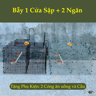 Lồng Bẫy Tự Động, Bẫy Khuyên, Chào Mào Loại 1 Cửa Sập, 2 Ngăn.