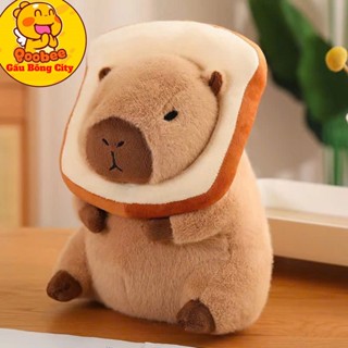 Gấu Bông Chuột Capybara Bánh Mì - Thú Nhồi Bông Chuột Lang Nước