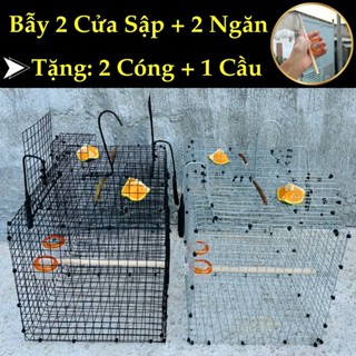 Bẫy Chim Tự Động, Hỗ Trợ Phí Ship (Bẫy Chim Khuyên, Chào Mào, Hút Mật) Lưới Thép Mạ Kẽm Không Gỉ, Loại 2 Cửa Sập, 2 Ngăn