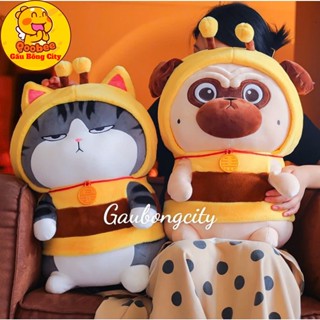  Gấu Bông Mèo Hoàng Thượng - Chó Cosplay ong - Chó Mèo Nhồi Bông Cao Cấp 